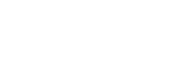 logo-solpal-white